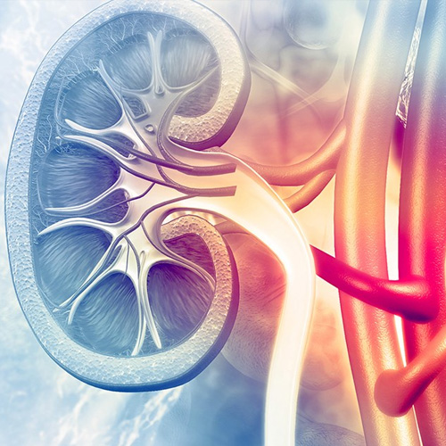 Best nephrology hospital in Vijayawada